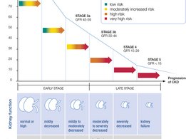 [Translate to Brasil - Portuguese:] Signs and symptoms of the 5 CKD stages and recommendations for action